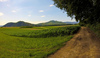 Summer view in Zlato Polje, Kranj towards Smarjetna Gora, 646m, on left and St. Jost 847m on right. 

