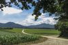 Summer view with cycling path towards Smarjetna Gora, 646m, on left and St. Jost 847m on right. 
