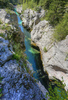 Emerald green Soca river is flowing through deep and narrow gorge near vas Soca, Slovenia.
