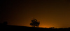 Night sky with stars and perseid meteor shower on field near village Preddvor, Slovenia, on clear summer night of 13th of August 2015.
