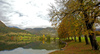 Single tree on shore of the Bohinj lake in Bohinj, Slovenia, while nature is putting on autumn colors on Saturday, 17th of October 2015.
