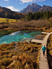 Nordic walking around Zelenci spring, near Kranjska Gora, Slovenia. Zelenci is a spring and nature reserve near village of Kranjska Gora, Slovenia. Zelenci spring is source of Sava river. At Zelenci, water from the underground stream Nadiza emerges through the porous lake bottom, whose waters are noted for their deep, brilliant green. The spring and its surrounding area are named after this color, as zelen meaning green in Slovene. 
