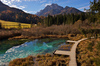 Zelenci is a spring and nature reserve near village of Kranjska Gora, Slovenia. Zelenci spring is source of Sava river. At Zelenci, water from the underground stream Nadiza emerges through the porous lake bottom, whose waters are noted for their deep, brilliant green. The spring and its surrounding area are named after this color, as zelen meaning green in Slovene. 
