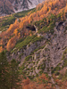Colorful trees high in mountains above Tamar valley, near Ratece, Slovenia.

