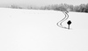 First snow of 2015-2016 winter is covering ground near village Mace, Slovenia, on morning of the Sunday, 22nd of November 2015.
