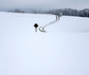 First snow of 2015-2016 winter is covering ground near village Mace, Slovenia, on morning of the Sunday, 22nd of November 2015.
