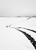 First snow of 2015-2016 winter is covering ground near village Mace, Slovenia, on morning of the Sunday, 22nd of November 2015.
