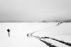 First snow of 2015-2016 winter is covering ground near village Mace, Slovenia, on morning of the Sunday, 22nd of November 2015.
