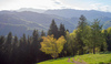 Spring in the hills around city of Kranj, Slovenia, on late Friday afternoon 15th of April 2016.
