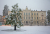 Snowing in Kranj, Slovenia, on 27th of April 2016. <br>  <br> Slovenian Square (Slovenski Trg) with a lime tree which was planted in the middle of the square after independence. The Kranj Grammar School in the background. <br>  <br> 
