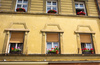 Old windows with flowers in Kranj, Slovenia
