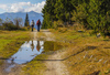 Autumn views in Pokljuka
