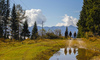 Autumn views in Pokljuka
