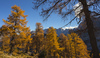 Central Julian Alps with Skrlatica, Prisojnik, Kukova spica and Vrsic are seen from 1909m high Slemenova Spica.
