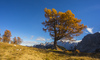 Central Julian Alps with Skrlatica, Prisojnik, Kukova spica and Vrsic are seen from 1909m high Slemenova Spica.
