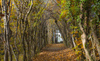 Autumn colors in Preddvor
