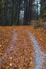 After few days of heavy rain and temperature drop sun came up and revealed snow in the mountains. Krvavec and alpine meadows around Krvavec are covered with snow, while lower laying areas around Kranj, Slovenia, are still in autumn colours.
