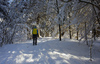 People walking through snowy landscape toward to Zelenci spring near Kranjska Gora on sunny morning of Sunday, 15th of January 2017, after snow storm passed Kranjska Gora, Slovenia, and delivered long awaited 30 to 40cm of fresh snow. <br> Zelenci Springs is a nature reserve near the town of Kranjska Gora, in the far northwestern corner of Slovenia. It is the source of the Sava Dolinka River.
