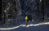 People walking through snowy landscape toward to Zelenci spring near Kranjska Gora on sunny morning of Sunday, 15th of January 2017, after snow storm passed Kranjska Gora, Slovenia, and delivered long awaited 30 to 40cm of fresh snow. <br> Zelenci Springs is a nature reserve near the town of Kranjska Gora, in the far northwestern corner of Slovenia. It is the source of the Sava Dolinka River.
