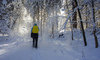 People walking through snowy landscape toward to Zelenci spring near Kranjska Gora on sunny morning of Sunday, 15th of January 2017, after snow storm passed Kranjska Gora, Slovenia, and delivered long awaited 30 to 40cm of fresh snow. <br> Zelenci Springs is a nature reserve near the town of Kranjska Gora, in the far northwestern corner of Slovenia. It is the source of the Sava Dolinka River.
