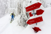 Ski tourers climbing toward mountain summit. Pokljuka and slopes of Visevnik mountain, Slovenia, on morning of 10th of December 2020, after extensive snow fall, which brought more than 1.5m of snow to Julian Alps in less then two days.