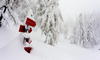 Mountain path markings are buried after 1.5m thick snow cover. Pokljuka and slopes of Visevnik mountain, Slovenia, on morning of 10th of December 2020, after extensive snow fall, which brought more than 1.5m of snow to Julian Alps in less then two days.