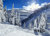 Pokljuka and slopes of Visevnik mountain, Slovenia, on morning of 11th of December 2020, after extensive snow fall, which brought more than 1.5m of snow to Julian Alps in less then two days.