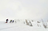 Ski tourers climbing toward summit of Visevnik. Pokljuka and slopes of Visevnik mountain, Slovenia, on morning of 12th of December 2020, after extensive snow fall, which brought more than 1.5m of snow to Julian Alps in the last several days.