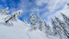 Pokljuka and slopes of Visevnik mountain, Slovenia, on morning of 12th of December 2020, after extensive snow fall, which brought more than 1.5m of snow to Julian Alps in the last several days.