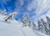 Pokljuka and slopes of Visevnik mountain, Slovenia, on morning of 12th of December 2020, after extensive snow fall, which brought more than 1.5m of snow to Julian Alps in the last several days.