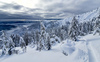 Pokljuka and slopes of Visevnik mountain, Slovenia, on morning of 12th of December 2020, after extensive snow fall, which brought more than 1.5m of snow to Julian Alps in the last several days.