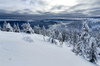 Pokljuka and slopes of Visevnik mountain, Slovenia, on morning of 12th of December 2020, after extensive snow fall, which brought more than 1.5m of snow to Julian Alps in the last several days.