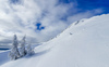 Pokljuka and slopes of Visevnik mountain, Slovenia, on morning of 12th of December 2020, after extensive snow fall, which brought more than 1.5m of snow to Julian Alps in the last several days.