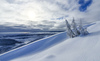 Pokljuka and slopes of Visevnik mountain, Slovenia, on morning of 12th of December 2020, after extensive snow fall, which brought more than 1.5m of snow to Julian Alps in the last several days.