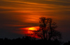 Sunset near Preddvor, Slovenia, while few 100 firefighters, 4 helicopters and firefighting plane that came to help from Croatia, tried to extinguish forest fire that started in mountains above village Potoce near Preddvor, Slovenia on Monday 28th of March 2022. Their efforts were still continuing on Tuesday, 29th of March 2022.