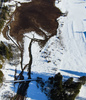 Aerial views of Zelenci meadows near Kranjska Gora, Slovenia, on winter Christmas Day of 25th of December 2022.