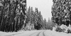 Winter in mountains above Pokljuka, Slovenia. Winter finally came to Slovenia with heavy snowfall ai middle of January, covering valleys with 10-30cm of snow, while mountains got extra 60 to 80cm deep snow blanket.