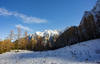 Winter wonderland with trees still in autumn colours is seen near Vrsic pass above Kranjska Gora, Slovenia, on 12th of November 2023. First snow covered higher areas in mountains around Vrsic pass near Kranjska Gora, Slovenia.