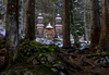 Russian chapel is seen between trees after first snow covered ground on 12th of November 2023. The wooden chapel, dedicated to St. Vladimir was built in 1916 by surviving Russian prisoners of war to commemorate those who died during the construction of the road across Vrsic.