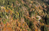 Zelenci wetlands near Kranjska Nora, Slovenia after heavy rainfall on 12th of November 2023. Zelenci are ground source of Sava Dolinka river, where water boils from up to 2 meters deep green lake.