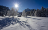 View to snowy grass field near village of Ratece, Slovenia, after snowfall on 20th of January 2024.