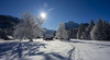 View to snowy grass field near village of Ratece, Slovenia, after snowfall on 20th of January 2024.