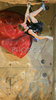 Jakob Schubert of Austria climbing in half finals of last IFSC Sport Climbing World cup of 2007 season. Semi finals for last IFSC Sport Climbing World Cup of 2007 season were held in Kranj, Slovenia on 17th of November 2007.
