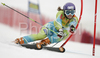 Tina Maze of Slovenia skiing in first run of women giant slalom World Cup race in Maribor, Slovenia. First giant slalom run of 44th Golden Fox trophy and Women FIS Alpine skiing World Cup was held in Maribor, Slovenia, on 12th of January 2008.

