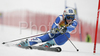  skiing in first run of women giant slalom World Cup race in Maribor, Slovenia. First giant slalom run of 44th Golden Fox trophy and Women FIS Alpine skiing World Cup was held in Maribor, Slovenia, on 12th of January 2008.
