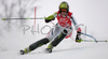 Leader after first run, Nicole Hosp of Austria skiing in first run of women slalom World Cup race in Maribor, Slovenia. First slalom run of 44th Golden Fox trophy and Women FIS Alpine skiing World Cup was held in Maribor, Slovenia, on 13th of January 2008.
