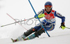 Irene Curtoni of Italy skiing in first run of women slalom World Cup race in Maribor, Slovenia. First slalom run of 44th Golden Fox trophy and Women FIS Alpine skiing World Cup was held in Maribor, Slovenia, on 13th of January 2008.
