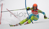 Katja Jazbec of Slovenia skiing in first run of women slalom World Cup race in Maribor, Slovenia. First slalom run of 44th Golden Fox trophy and Women FIS Alpine skiing World Cup was held in Maribor, Slovenia, on 13th of January 2008.
