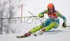 Katja Jazbec of Slovenia skiing in first run of women slalom World Cup race in Maribor, Slovenia. First slalom run of 44th Golden Fox trophy and Women FIS Alpine skiing World Cup was held in Maribor, Slovenia, on 13th of January 2008.
