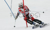 Jessica Honkonen of Finland skiing in first run of women slalom World Cup race in Maribor, Slovenia. First slalom run of 44th Golden Fox trophy and Women FIS Alpine skiing World Cup was held in Maribor, Slovenia, on 13th of January 2008.
